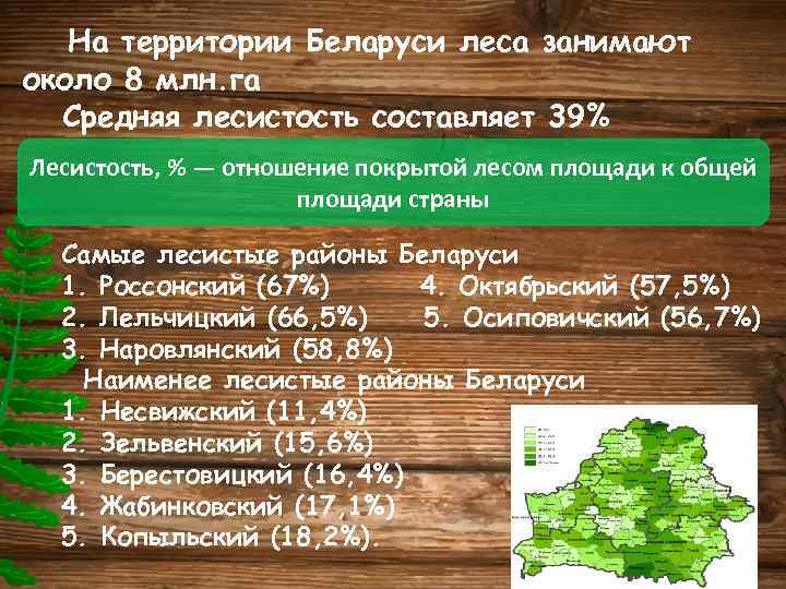 Какой процент территории занято лесами