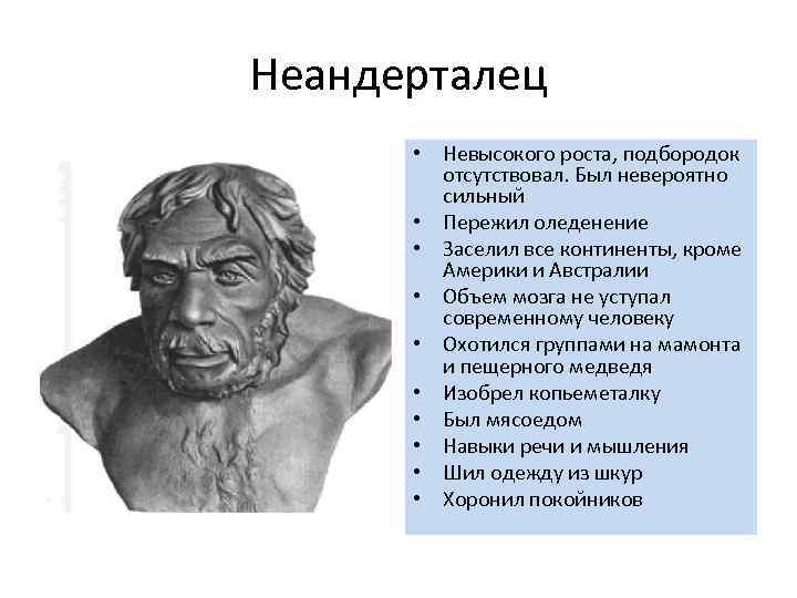 Неандерталец • Невысокого роста, подбородок отсутствовал. Был невероятно сильный • Пережил оледенение • Заселил