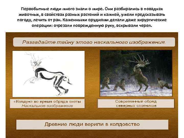Первобытные люди много знали о мире. Они разбирались в повадках животных, в свойствах разных
