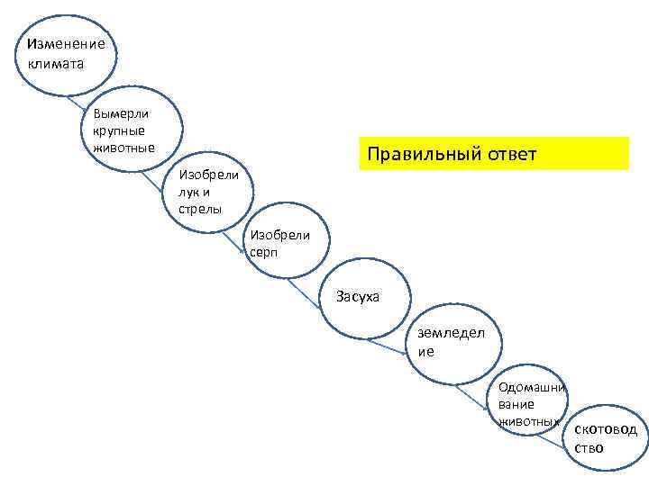 Изменение климата Вымерли крупные животные Правильный ответ Изобрели лук и стрелы Изобрели серп Засуха