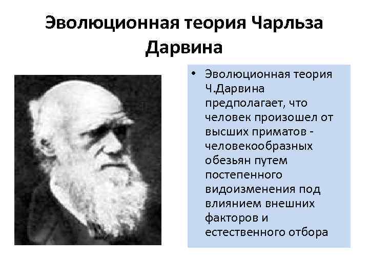 Ученые современной теории эволюции. Эволюционная теория Чарльза Дарвина. Теория эволюции Дарвина. Эволюционная теория Чарльза Дарвина кратко. Теория революции Чарльза Дарвина.