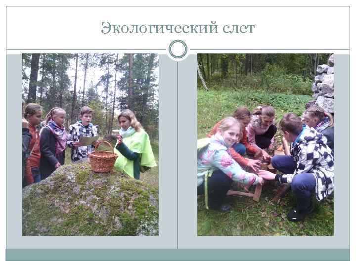 Экологический слет 