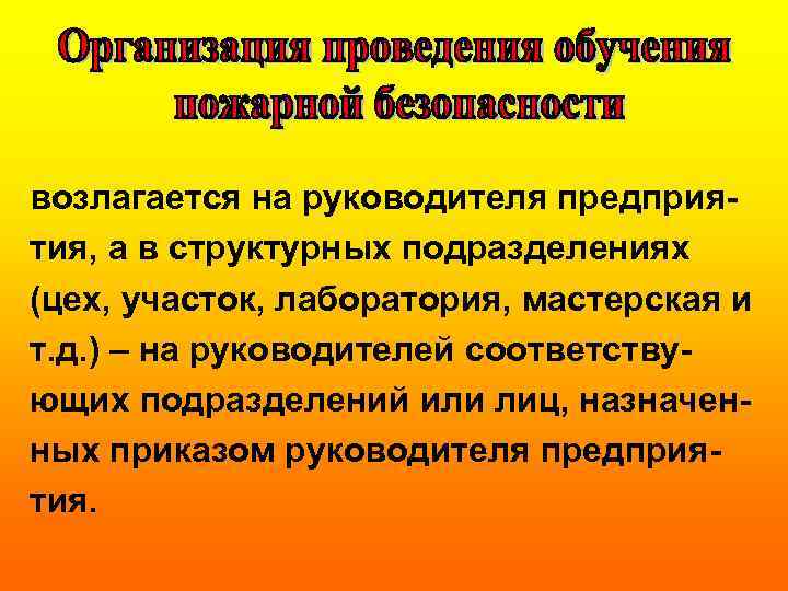 возлагается на руководителя предприятия, а в структурных подразделениях (цех, участок, лаборатория, мастерская и т.
