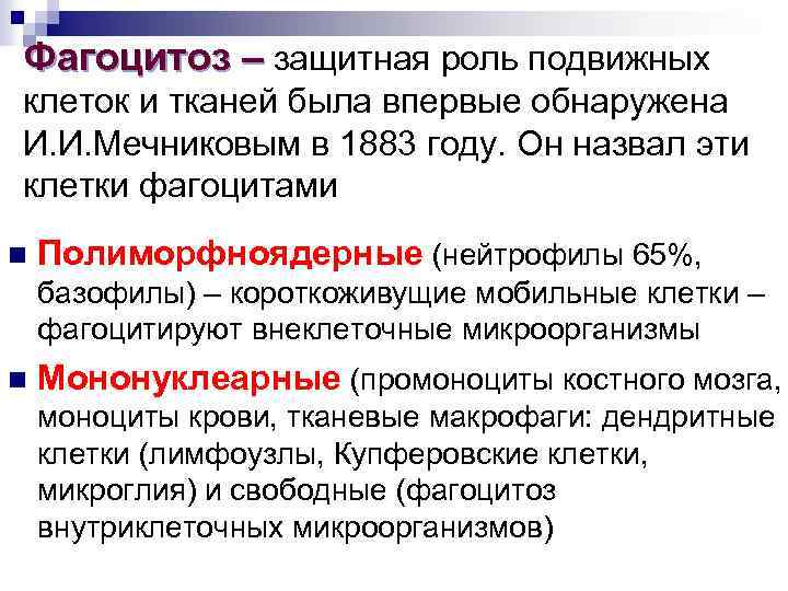 Фагоцитоз – защитная роль подвижных клеток и тканей была впервые обнаружена И. И. Мечниковым