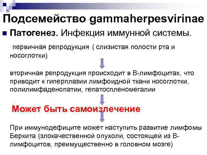 Подсемейство gammaherpesvirinae n Патогенез. Инфекция иммунной системы. первичная репродукция ( слизистая полости рта и