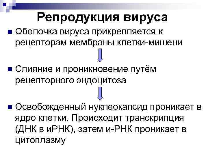 Репродукция вируса n Оболочка вируса прикрепляется к рецепторам мембраны клетки-мишени n Слияние и проникновение