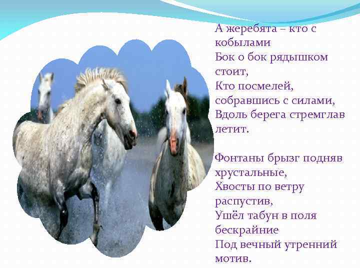 А жеребята – кто с кобылами Бок о бок рядышком стоит, Кто посмелей, собравшись