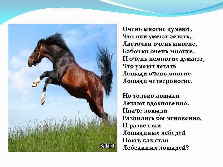 Очень многие думают, Что они умеют летать, Ласточки очень многие, Бабочки очень многие. И