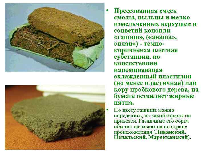  • Прессованная смесь смолы, пыльцы и мелко измельченных верхушек и соцветий конопли «гашиш»