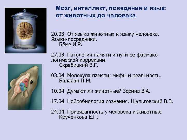 Мозг, интеллект, поведение и язык: от животных до человека. 20. 03. От языка животных