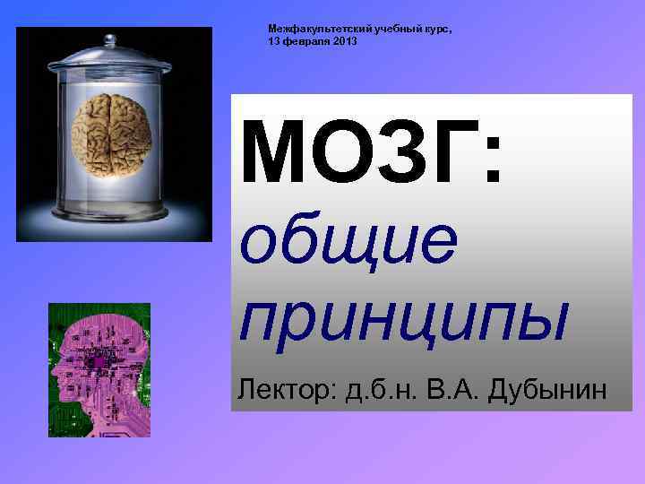 Межфакультетский учебный курс, 13 февраля 2013 МОЗГ: общие принципы Лектор: д. б. н. В.