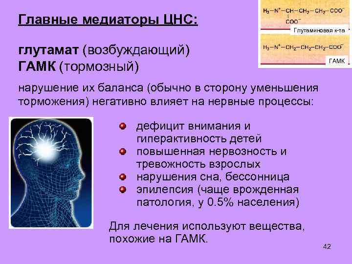 Главные медиаторы ЦНС: Глутаминовая к-та глутамат (возбуждающий) ГАМК (тормозный) ГАМК нарушение их баланса (обычно