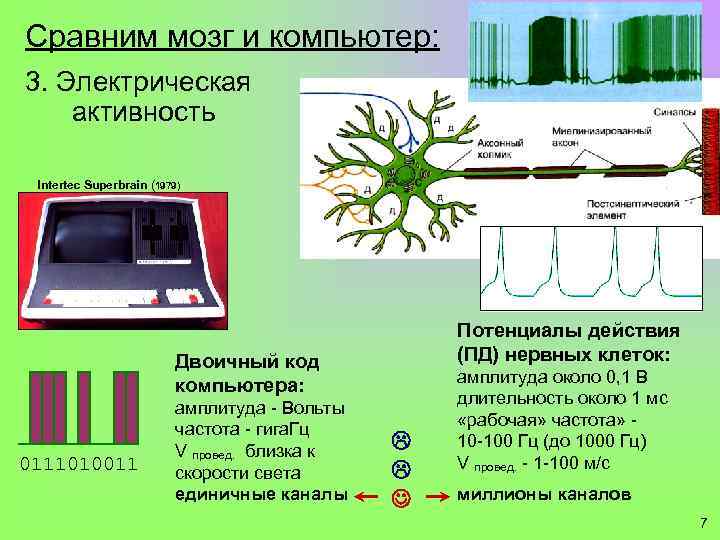 Сравним мозг и компьютер: 3. Электрическая активность Intertec Superbrain (1979) Потенциалы действия (ПД) нервных