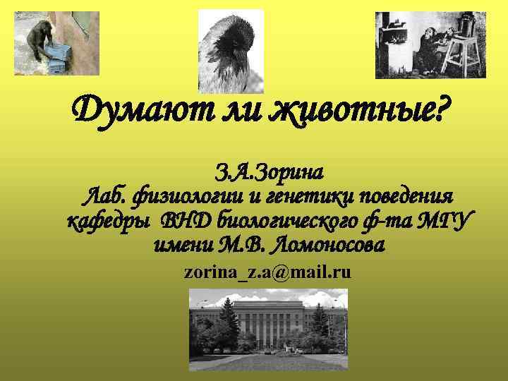Думают ли животные? З. А. Зорина Лаб. физиологии и генетики поведения кафедры ВНД биологического