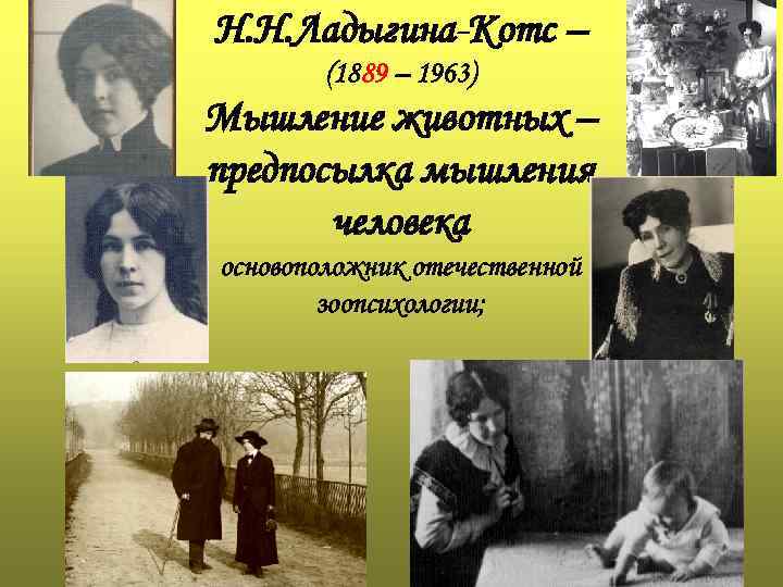Н. Н. Ладыгина-Котс – (1889 – 1963) Мышление животных – предпосылка мышления человека основоположник