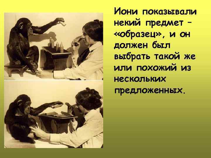 Иони показывали некий предмет – «образец» , и он должен был выбрать такой же