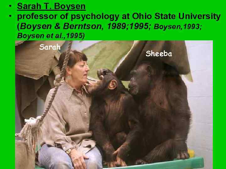  • Sarah T. Boysen • professor of psychology at Ohio State University (Boysen