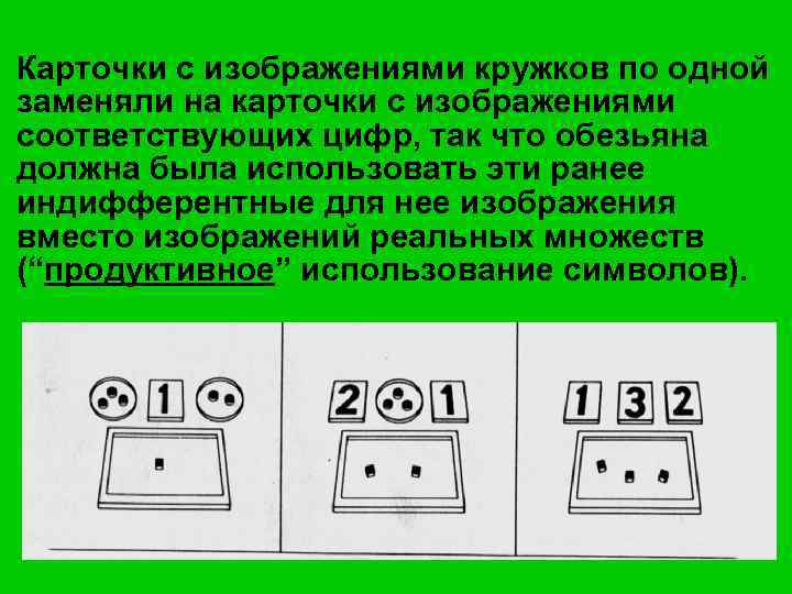 Карточки с изображениями кружков по одной заменяли на карточки с изображениями соответствующих цифр, так