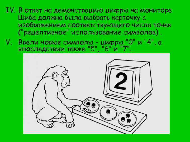 IV. В ответ на демонстрацию цифры на мониторе Шиба должна была выбрать карточку с