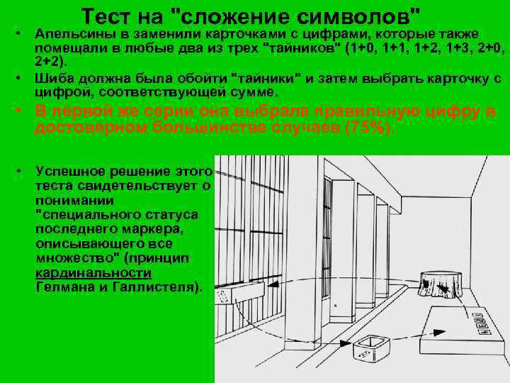 Тест на "сложение символов" • Апельсины в заменили карточками с цифрами, которые также помещали