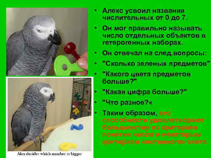  • Алекс усвоил названия числительных от 0 до 7. • Он мог правильно