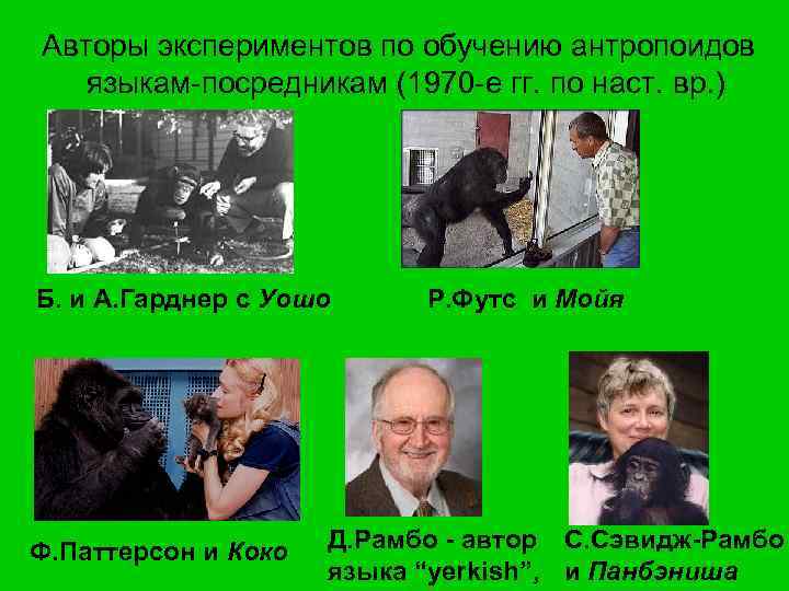  Авторы экспериментов по обучению антропоидов языкам-посредникам (1970 -е гг. по наст. вр. )