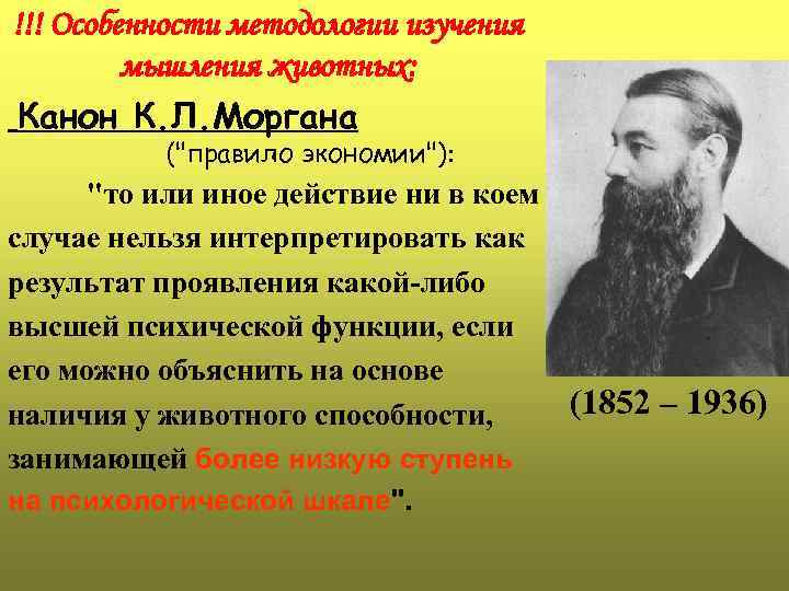 !!! Особенности методологии изучения мышления животных: Канон К. Л. Моргана ("правило экономии"): "то или