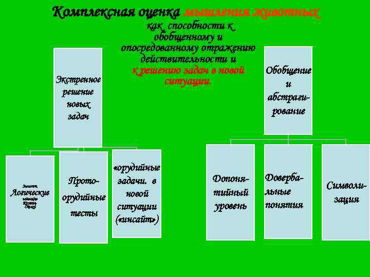 Комплексная оценка мышления животных Экстренное решение новых задач Элемент. Логические задачи(по Крушин. Скому) как