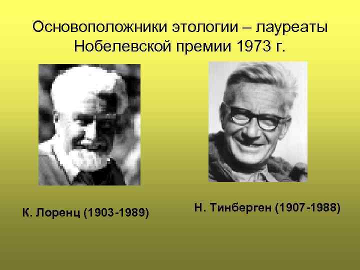 Основоположники этологии – лауреаты Нобелевской премии 1973 г. К. Лоренц (1903 -1989) Н. Тинберген