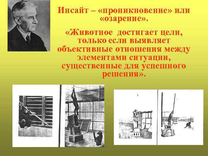 Инсайт – «проникновение» или «озарение» . «Животное достигает цели, только если выявляет объективные отношения
