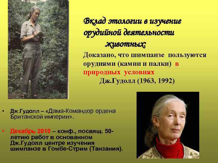 Вклад этологии в изучение орудийной деятельности животных: Доказано, что шимпанзе пользуются орудиями (камни и