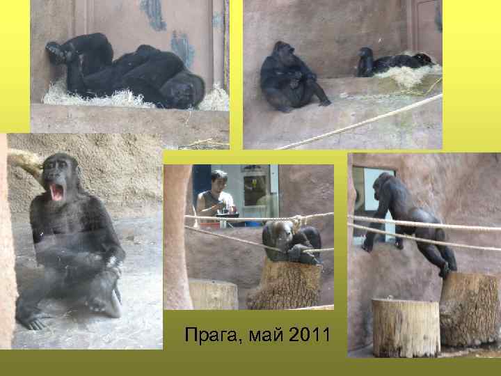 Прага, май 2011 