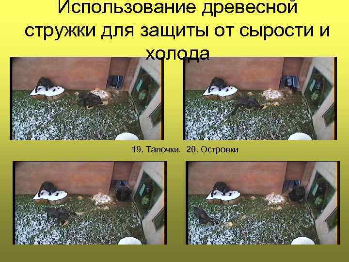 Использование древесной стружки для защиты от сырости и холода 19. Тапочки, 20. Островки 