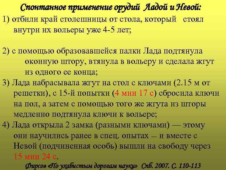Спонтанное применение орудий Ладой и Невой: 1) отбили край столешницы от стола, который стоял