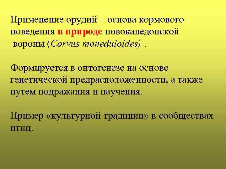 Применение орудий – основа кормового поведения в природе новокаледонской вороны (Corvus moneduloides). Формируется в