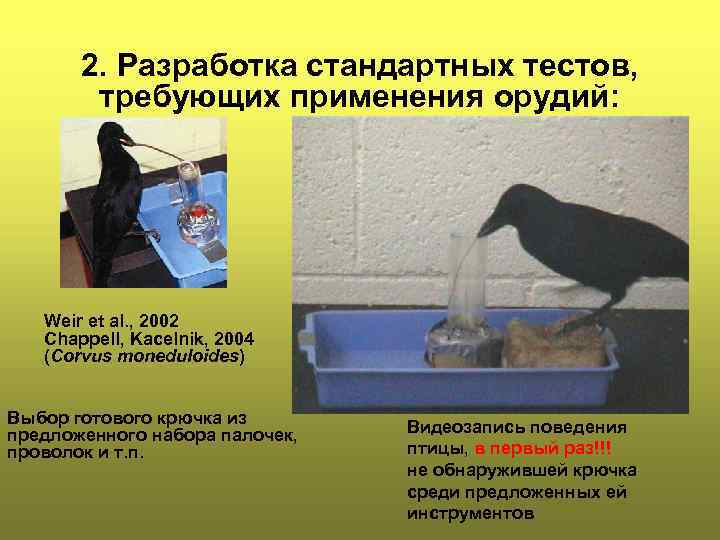 2. Разработка стандартных тестов, требующих применения орудий: Weir et al. , 2002 Chappell, Kacelnik,