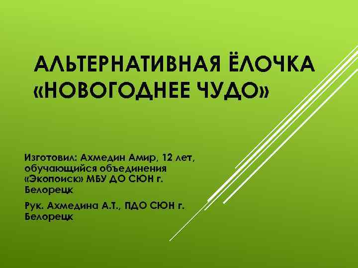 АЛЬТЕРНАТИВНАЯ ЁЛОЧКА «НОВОГОДНЕЕ ЧУДО» Изготовил: Ахмедин Амир, 12 лет, обучающийся объединения «Экопоиск» МБУ ДО
