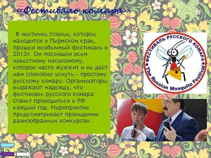  «Фестиваль комара» В местечке Усолье, которое находится в Пермском крае, прошел необычный фестиваль