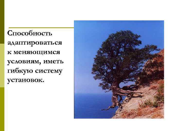 Способность адаптироваться к меняющимся условиям, иметь гибкую систему установок. 
