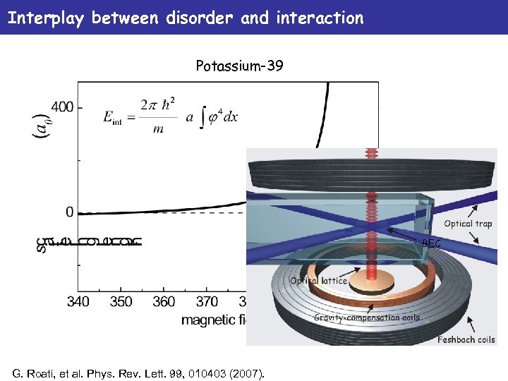 Interplay between disorder and interaction Potassium-39 BEC G. Roati, et al. Phys. Rev. Lett.