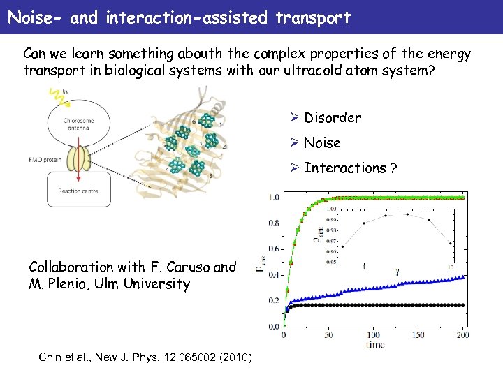 Noise- and interaction-assisted transport Can we learn something abouth the complex properties of the