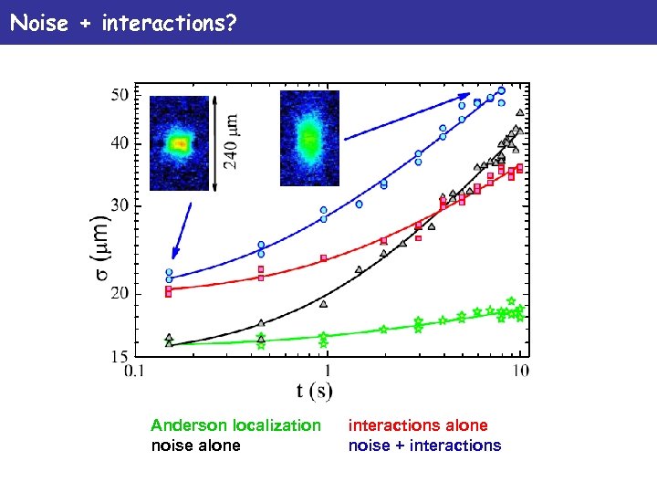 Noise + interactions? Anderson localization noise alone interactions alone noise + interactions 