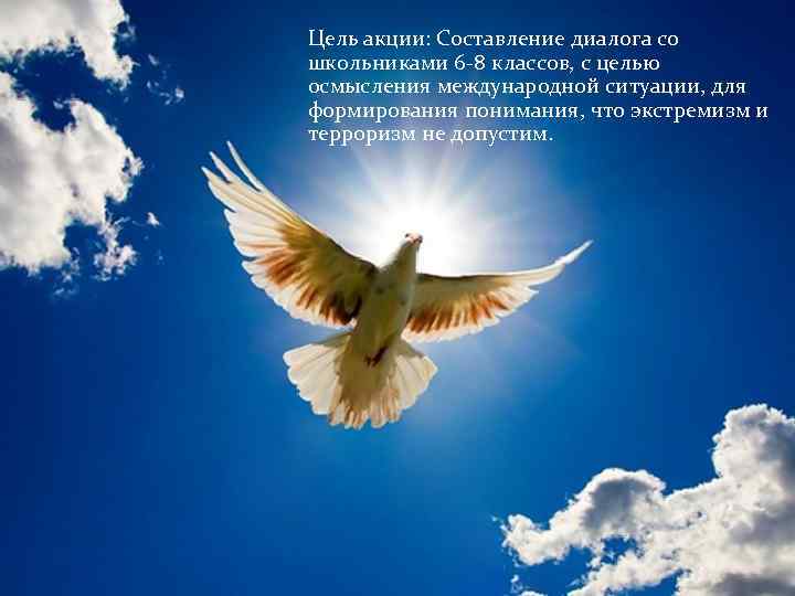 Цель акции: Составление диалога со школьниками 6 -8 классов, с целью осмысления международной ситуации,