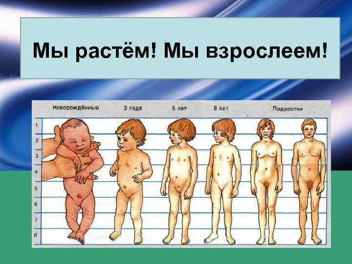 Мы растём! Мы взрослеем! 
