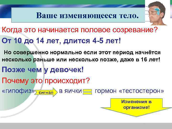 Ваше изменяющееся тело. Когда это начинается половое созревание? От 10 до 14 лет, длится