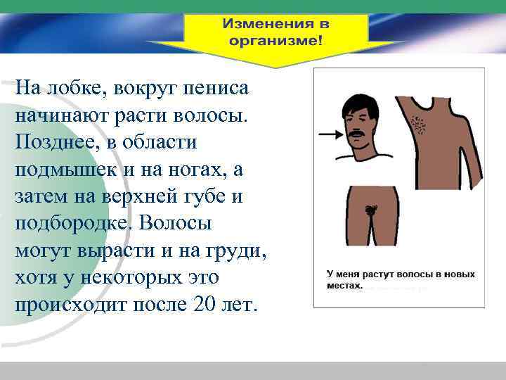 На лобке, вокруг пениса начинают расти волосы. Позднее, в области подмышек и на ногах,