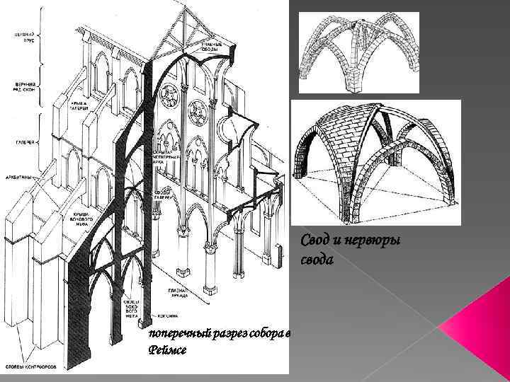 Свод и нервюры свода поперечный разрез собора в Реймсе 