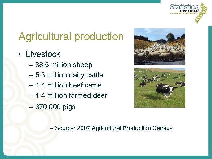 Agricultural production • Livestock – – 38. 5 million sheep 5. 3 million dairy
