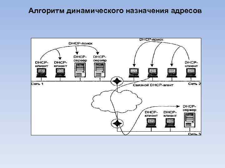 Алгоритм динамического назначения адресов 