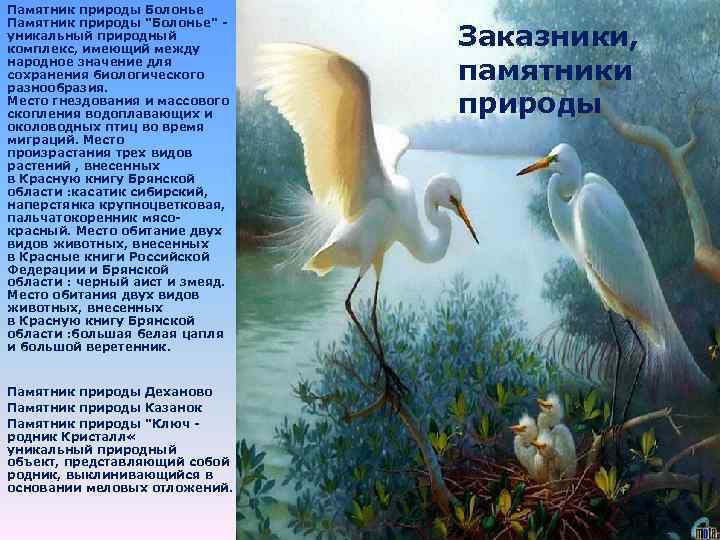 Памятник природы Болонье Памятник природы "Болонье" - уникальный природный комплекс, имеющий между народное значение